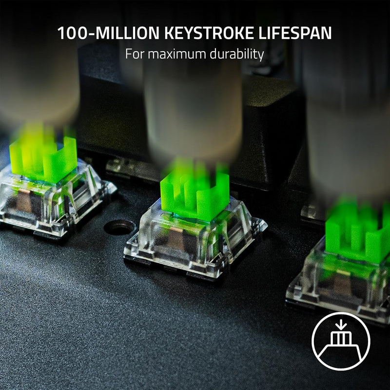 Razer Mechanical Switches Pack Green Clicky (Razer Renewed)
